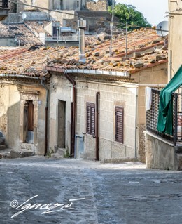 233A9134.JPG