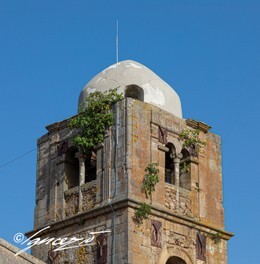 233A9137.JPG